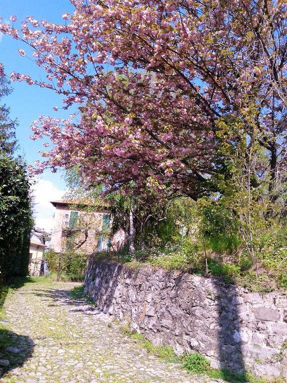 La Cà del Menèc Lierna Exterior foto